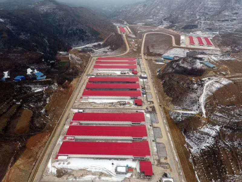 202004081586308080611739.jpg 42db1968-9c0b-4216-aa01-bcb60755a176.jpg