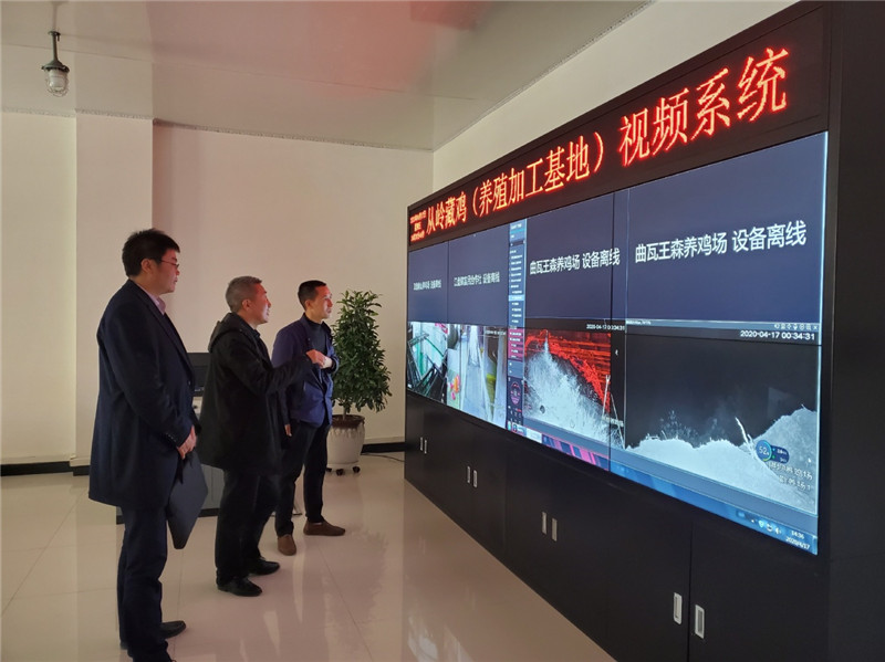 202004271587955259709895.jpg 5.jpg